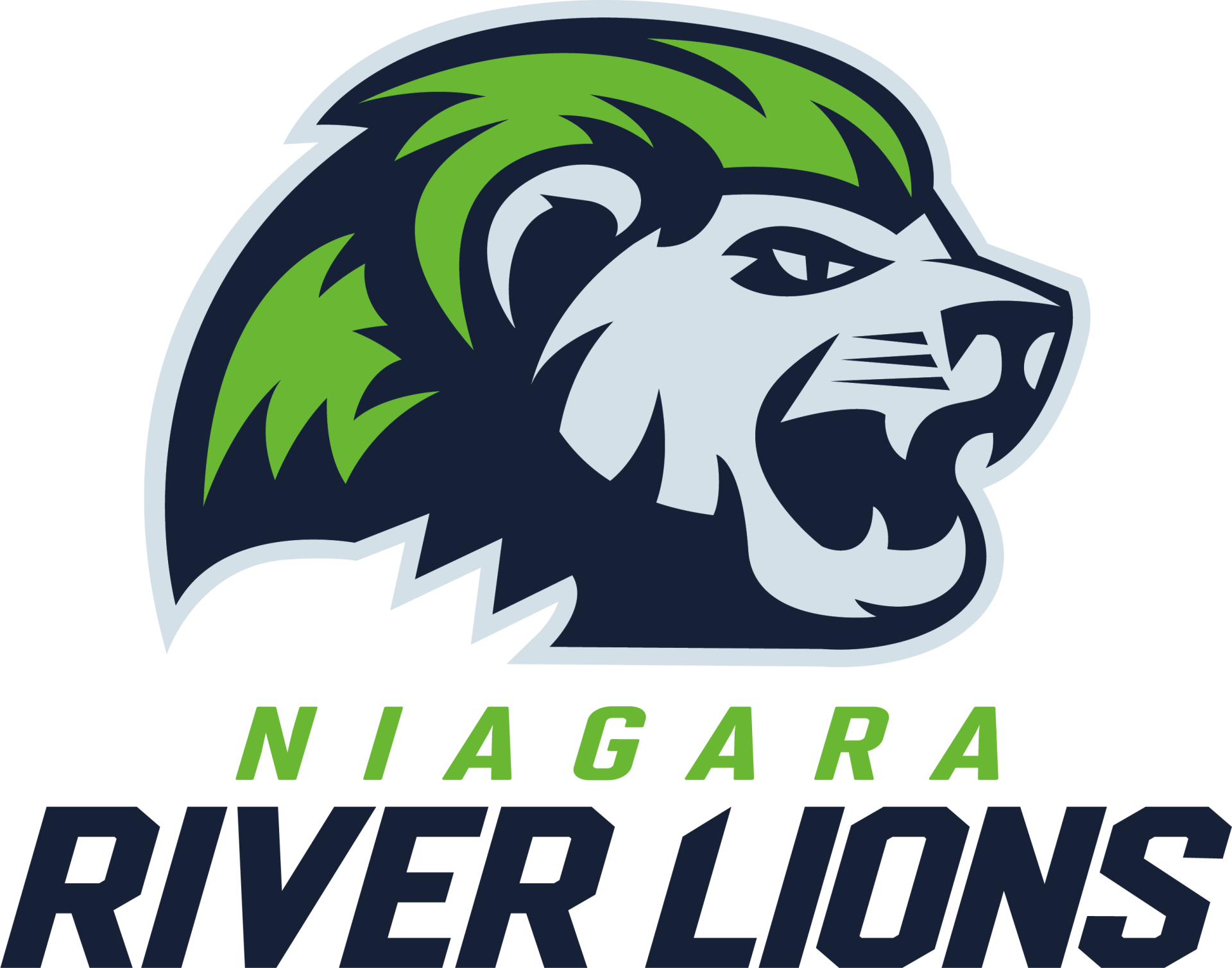 NIAGARA RIVER LIONS Team Logo
